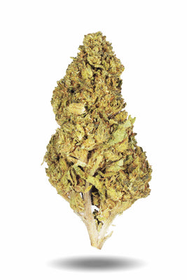 Banana Punch THCa Flower - Premium Hemp Buds for Relaxation and Euphoria