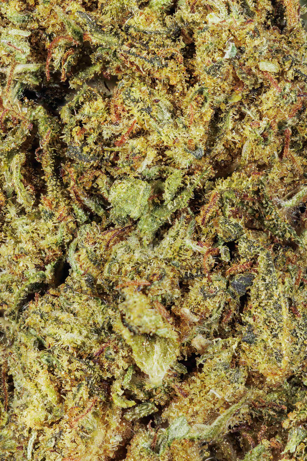 Banana Punch Hybrid THCa Flower