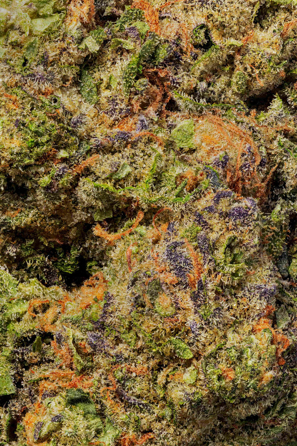 Beach Wedding THCa Flower Hybrid Sativa Dom.