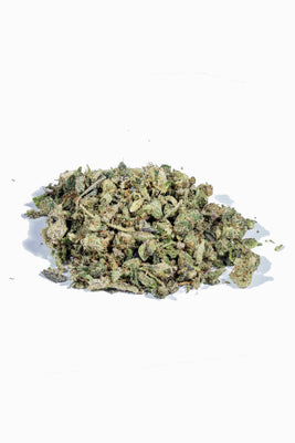 Black Truffle Pie THCa Hybrid Shake