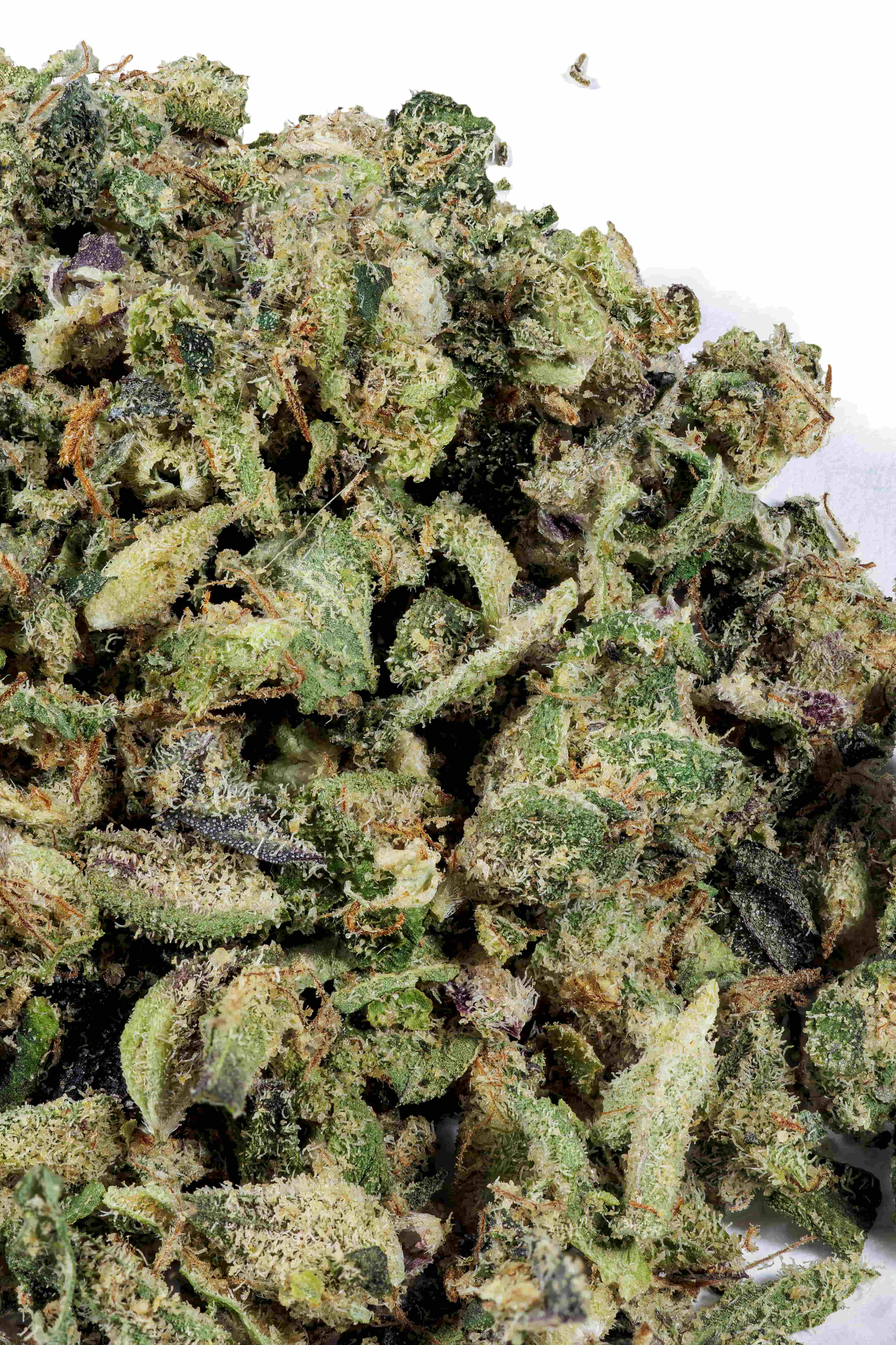 Black Truffle Pie Hybrid Shake
