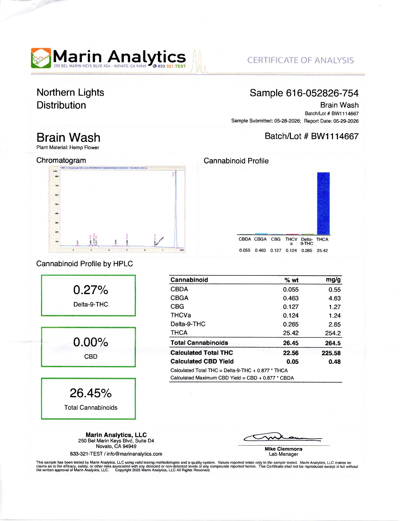 Brainwash