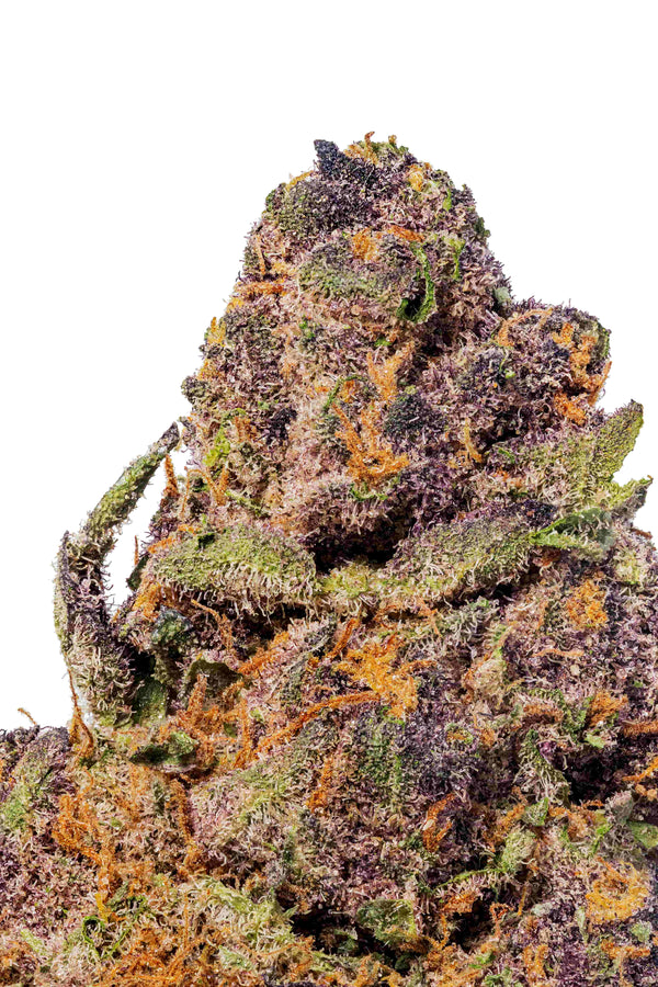 Close-up of a cannabis bud with green, purple, and orange colors on a white background