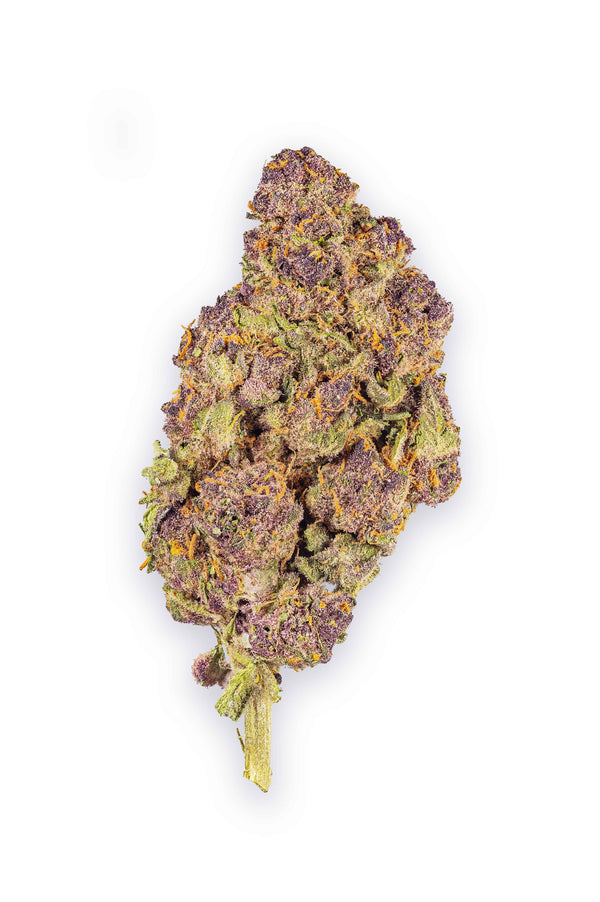 Dried cannabis bud on a white background