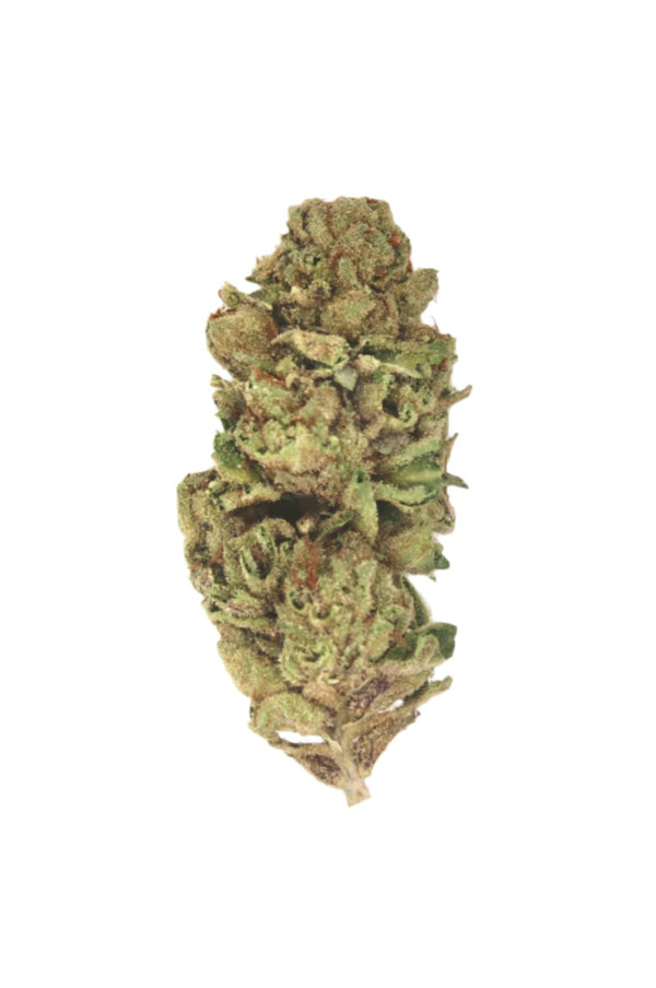 thca flower ghost train haze sativa strain on white background 