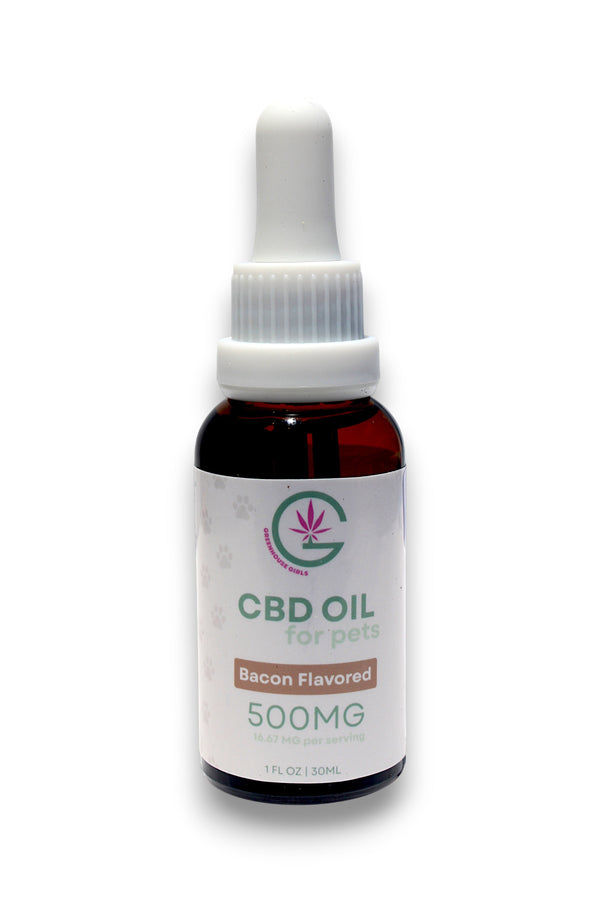 Greenhouse Girls 500mg bacon-flavored CBD oil tincture for dogs and cats in an amber glass bottle with a dropper.