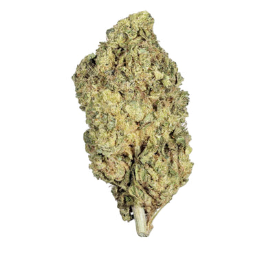 Greenhouse Girls Jane Dough sativa-dominant THCa flower bud with dense light green leaves and frosty trichomes
