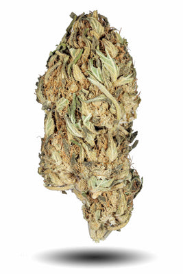 Guava THCa Flower Hybrid - Premium Guava THCa Flower for an Elevated Experience