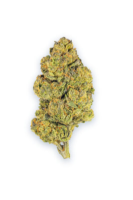 Gumbo THCa Flower Indica