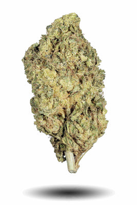 Jane Dough THCa Flower - Premium Quality Cannabis Flower