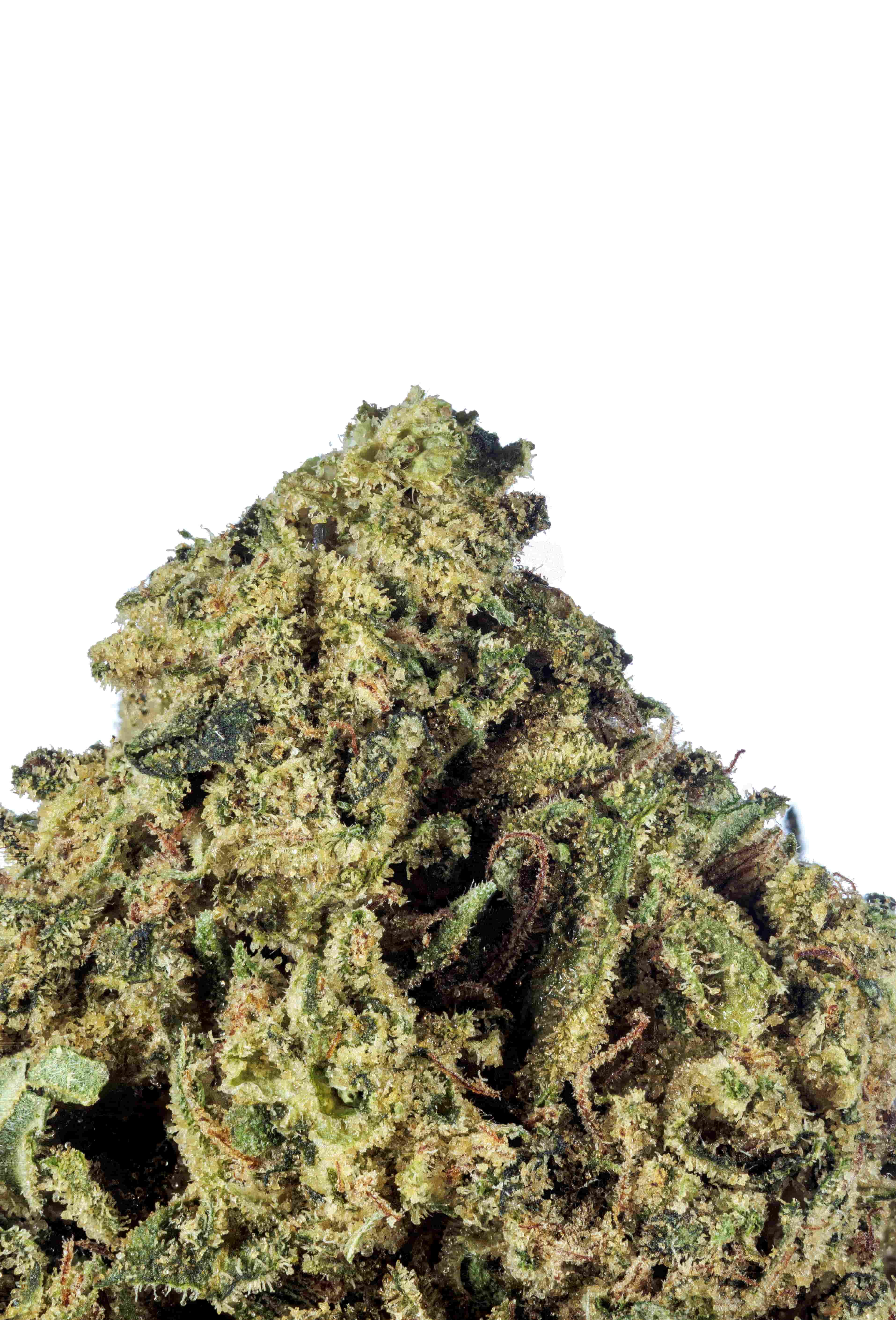 Jane Dough Sativa-Hybrid THCa Flower