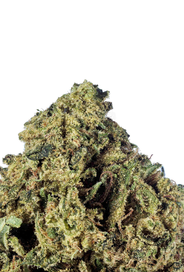 Jane Dough Sativa-Hybrid THCa Flower