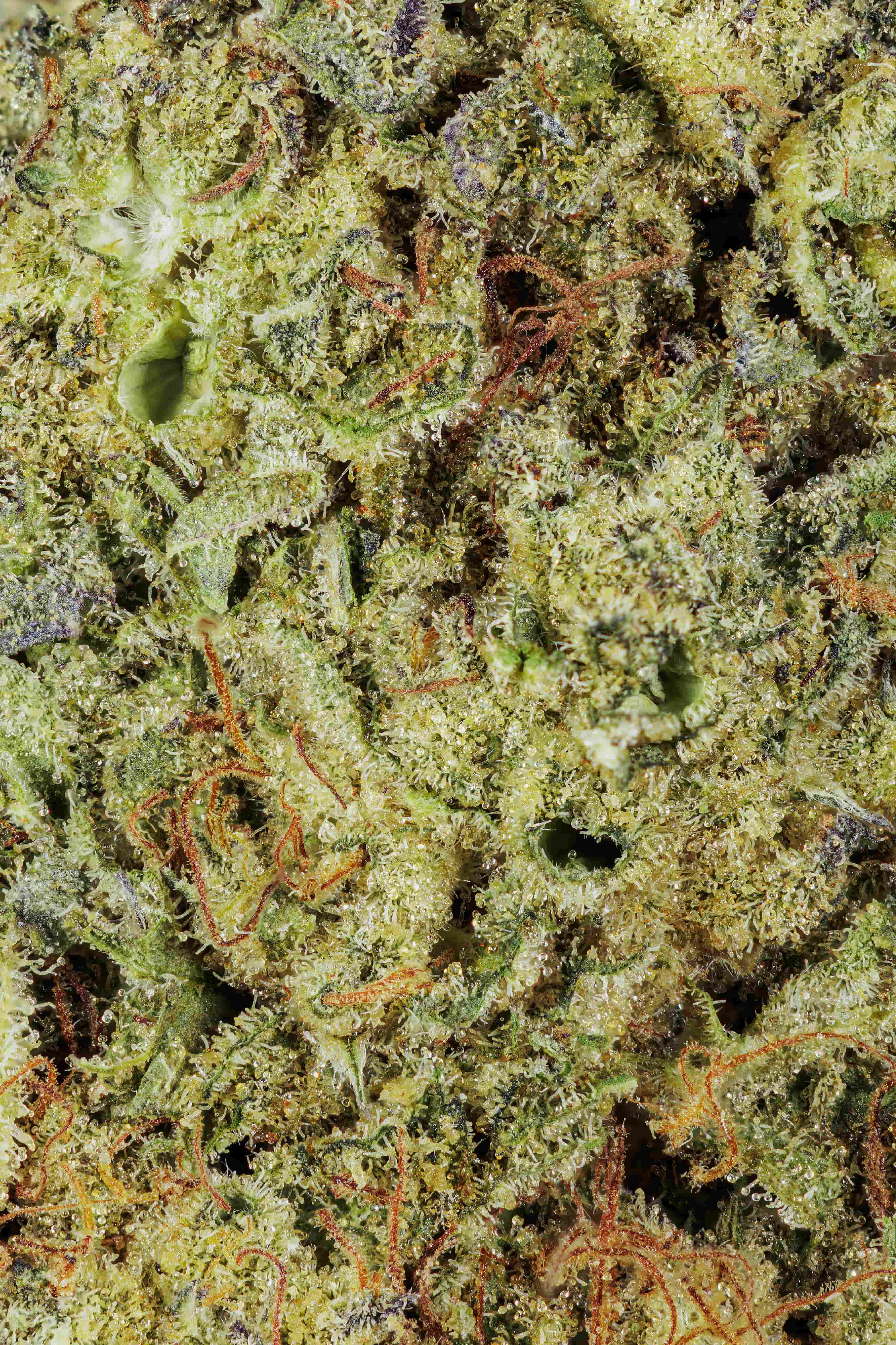 Shadow Cake Hybrid THCa Flower