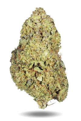 weed nut on white background