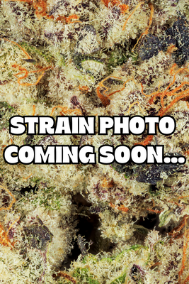 Close-up of a textured cannabis bud with orange pistils and frosty white and green trichomes, overlaid with the text 'STRAIN PHOTO COMING SOON.